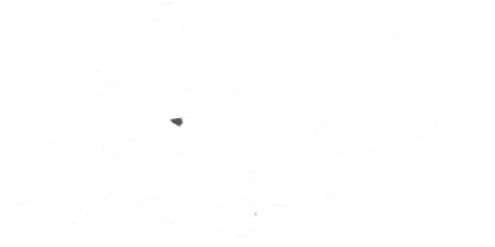 サンプル